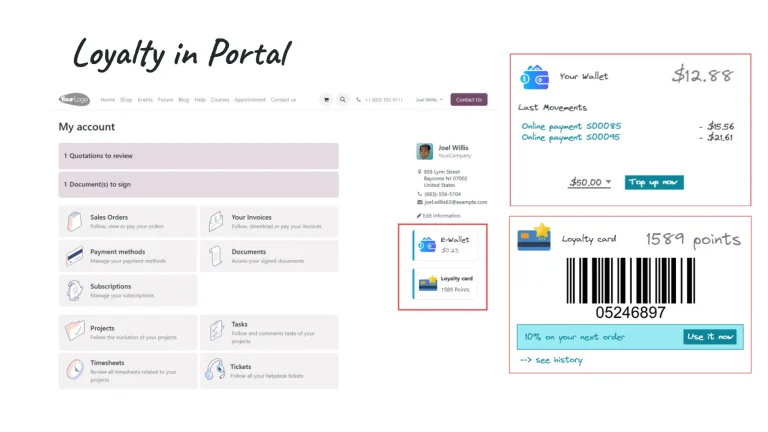 Odoo 18-loyalty in portal