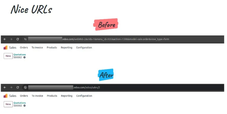 Odoo 18-nice urls