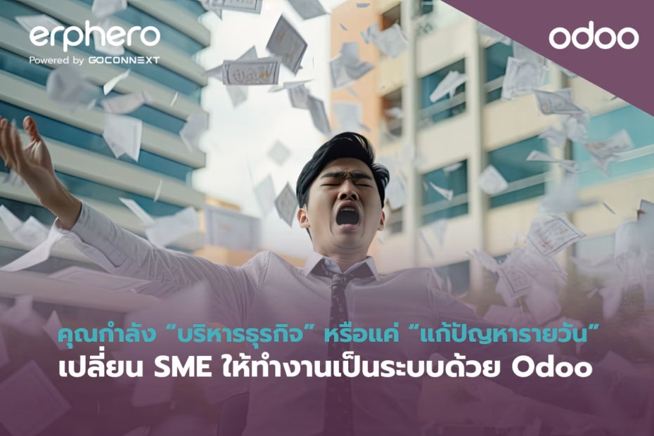 erphero-Odoo- Business Process Assessment (1)
