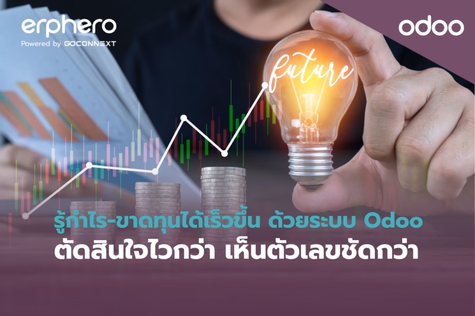 erphero-Odoo- Cash Flow (2)